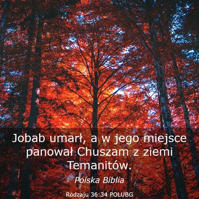 Picture 03 - Rodzaju 36:34 POLUBG - Jobab umarł, a w jego miejsce panował Chuszam z - Bible Verse Picture