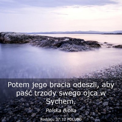 Picture 03 - Rodzaju 37:12 POLUBG - Potem jego bracia odeszli, aby paść trzody - Bible Verse Picture