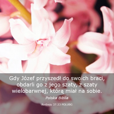 Picture 03 - Rodzaju 37:23 POLUBG - Gdy Józef przyszedł do swoich braci, obdarli go - Bible Verse Picture