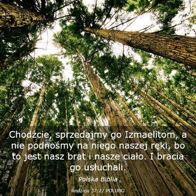 Picture 03 - Rodzaju 37:27 POLUBG - Chodźcie, sprzedajmy go Izmaelitom, a nie - Bible Verse Picture