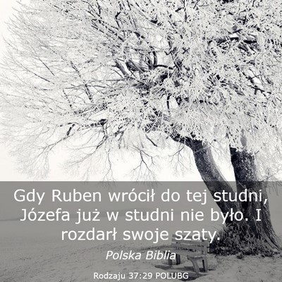 Picture 03 - Rodzaju 37:29 POLUBG - Gdy Ruben wrócił do tej studni, Józefa już w - Bible Verse Picture