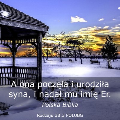 Picture 03 - Rodzaju 38:3 POLUBG - A ona poczęła i urodziła syna, i nadał mu - Bible Verse Picture