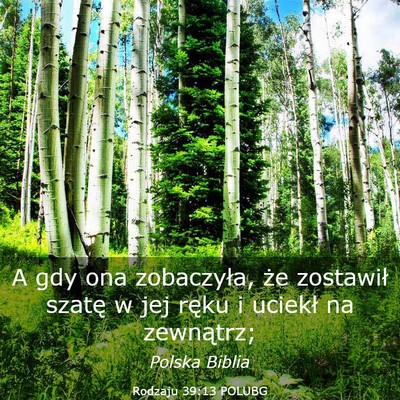 Picture 03 - Rodzaju 39:13 POLUBG - A gdy ona zobaczyła, że zostawił szatę w jej - Bible Verse Picture