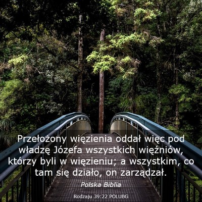 Picture 03 - Rodzaju 39:22 POLUBG - Przełożony więzienia oddał więc pod władzę - Bible Verse Picture