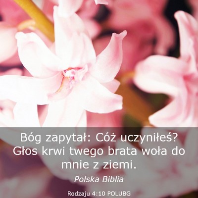 Picture 03 - Rodzaju 4:10 POLUBG - Bóg zapytał: Cóż uczyniłeś? Głos krwi - Bible Verse Picture