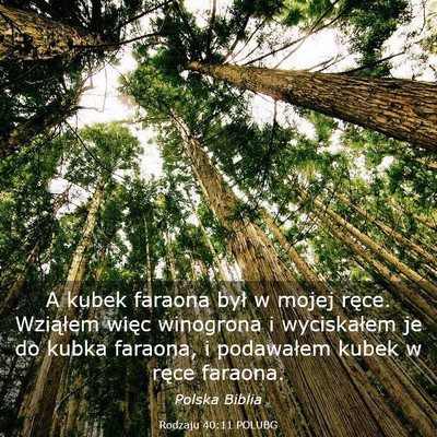 Picture 03 - Rodzaju 40:11 POLUBG - A kubek faraona był w mojej ręce. Wziąłem - Bible Verse Picture
