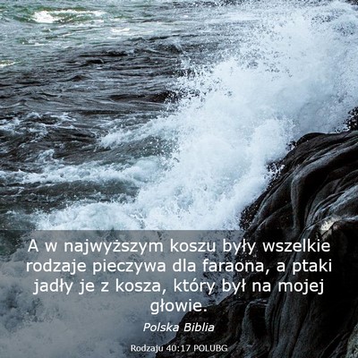 Picture 03 - Rodzaju 40:17 POLUBG - A w najwyższym koszu były wszelkie rodzaje - Bible Verse Picture