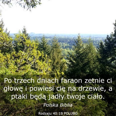 Picture 03 - Rodzaju 40:19 POLUBG - Po trzech dniach faraon zetnie ci głowę i - Bible Verse Picture