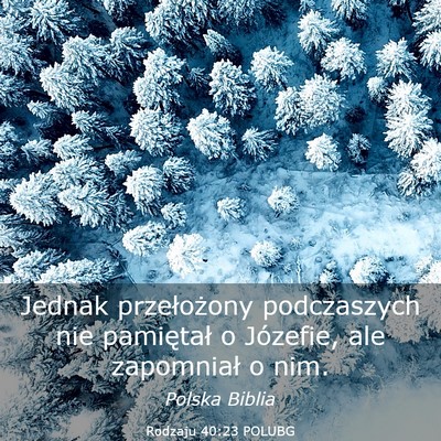 Picture 03 - Rodzaju 40:23 POLUBG - Jednak przełożony podczaszych nie pamiętał o - Bible Verse Picture
