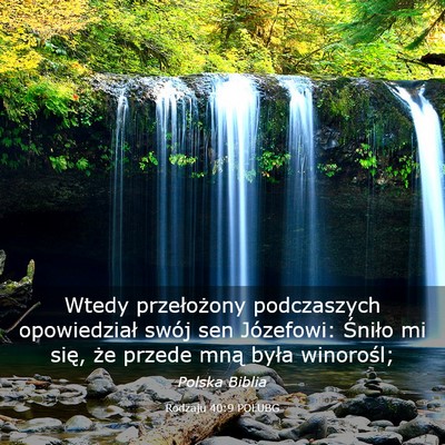 Picture 03 - Rodzaju 40:9 POLUBG - Wtedy przełożony podczaszych opowiedział swój - Bible Verse Picture