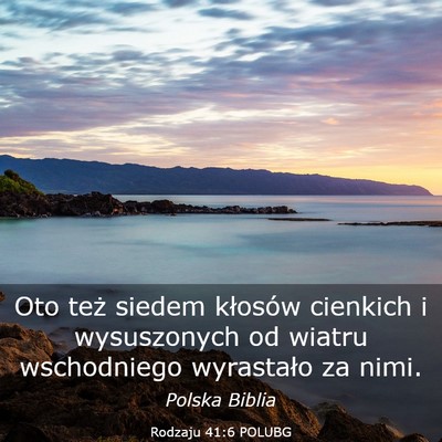 Picture 03 - Rodzaju 41:6 POLUBG - Oto też siedem kłosów cienkich i wysuszonych - Bible Verse Picture