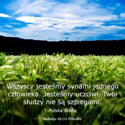 Picture 03 - Rodzaju 42:11 POLUBG - Wszyscy jesteśmy synami jednego człowieka. - Bible Verse Picture