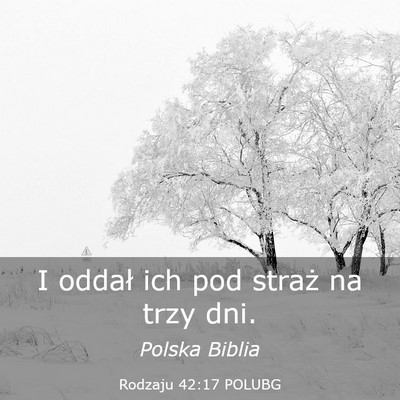 Picture 03 - Rodzaju 42:17 POLUBG - I oddał ich pod straż na trzy - Bible Verse Picture