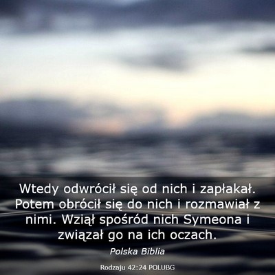 Picture 03 - Rodzaju 42:24 POLUBG - Wtedy odwrócił się od nich i zapłakał. Potem - Bible Verse Picture