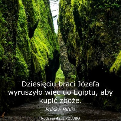 Picture 03 - Rodzaju 42:3 POLUBG - Dziesięciu braci Józefa wyruszyło więc do - Bible Verse Picture