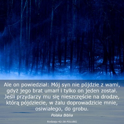 Picture 03 - Rodzaju 42:38 POLUBG - Ale on powiedział: Mój syn nie pójdzie z wami, - Bible Verse Picture