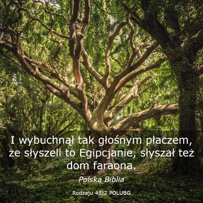 Picture 03 - Rodzaju 45:2 POLUBG - I wybuchnął tak głośnym płaczem, że - Bible Verse Picture