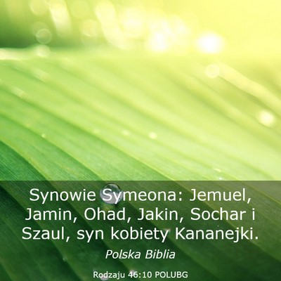 Picture 03 - Rodzaju 46:10 POLUBG - Synowie Symeona: Jemuel, Jamin, Ohad, Jakin, - Bible Verse Picture