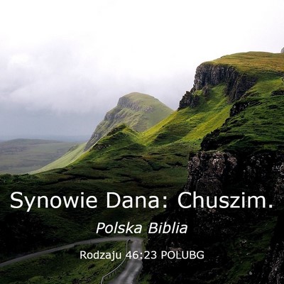 Picture 03 - Rodzaju 46:23 POLUBG - Synowie Dana: - Bible Verse Picture
