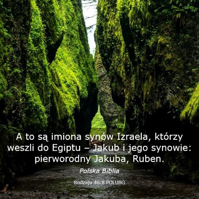 Picture 03 - Rodzaju 46:8 POLUBG - A to są imiona synów Izraela, którzy weszli do - Bible Verse Picture