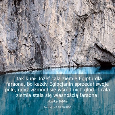 Picture 03 - Rodzaju 47:20 POLUBG - I tak kupił Józef całą ziemię Egiptu dla - Bible Verse Picture