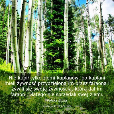 Picture 03 - Rodzaju 47:22 POLUBG - Nie kupił tylko ziemi kapłanów, bo kapłani - Bible Verse Picture