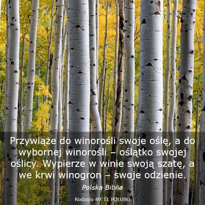 Picture 03 - Rodzaju 49:11 POLUBG - Przywiąże do winorośli swoje oślę, a do - Bible Verse Picture