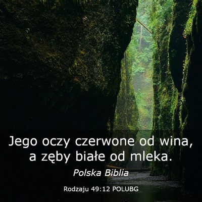Picture 03 - Rodzaju 49:12 POLUBG - Jego oczy czerwone od wina, a zęby białe od - Bible Verse Picture