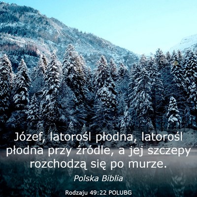 Picture 03 - Rodzaju 49:22 POLUBG - Józef, latorośl płodna, latorośl płodna przy - Bible Verse Picture