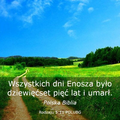 Picture 03 - Rodzaju 5:11 POLUBG - Wszystkich dni Enosza było dziewięćset pięć - Bible Verse Picture