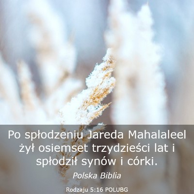 Picture 03 - Rodzaju 5:16 POLUBG - Po spłodzeniu Jareda Mahalaleel żył osiemset - Bible Verse Picture