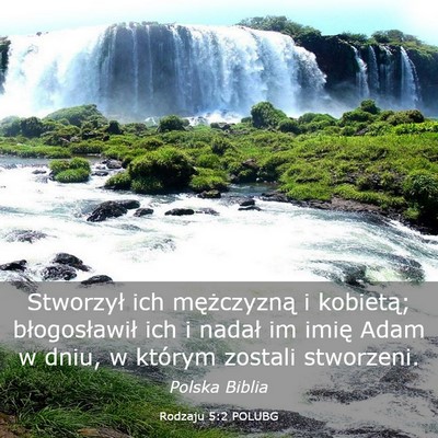 Picture 03 - Rodzaju 5:2 POLUBG - Stworzył ich mężczyzną i kobietą; - Bible Verse Picture