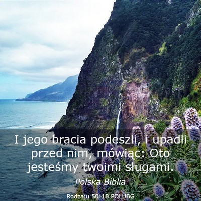 Picture 03 - Rodzaju 50:18 POLUBG - I jego bracia podeszli, i upadli przed nim, - Bible Verse Picture
