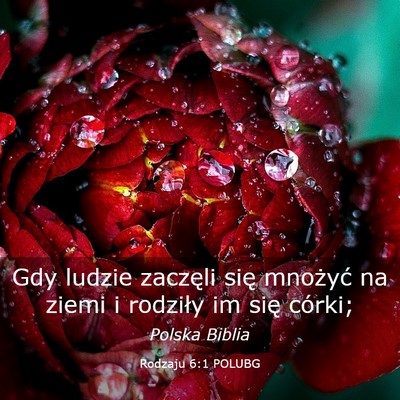 Picture 03 - Rodzaju 6:1 POLUBG - Gdy ludzie zaczęli się mnożyć na ziemi i - Bible Verse Picture
