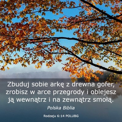Picture 03 - Rodzaju 6:14 POLUBG - Zbuduj sobie arkę z drewna gofer, zrobisz w arce - Bible Verse Picture