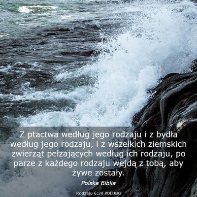 Picture 03 - Rodzaju 6:20 POLUBG - Z ptactwa według jego rodzaju i z bydła według - Bible Verse Picture