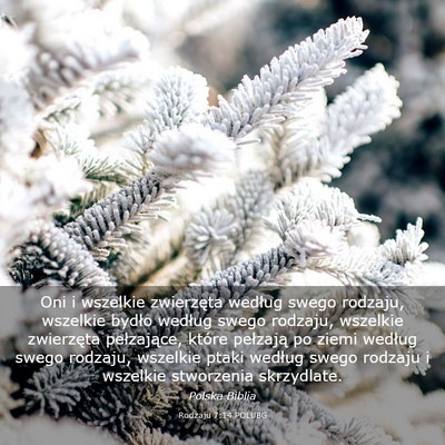 Picture 03 - Rodzaju 7:14 POLUBG - Oni i wszelkie zwierzęta według swego rodzaju, - Bible Verse Picture