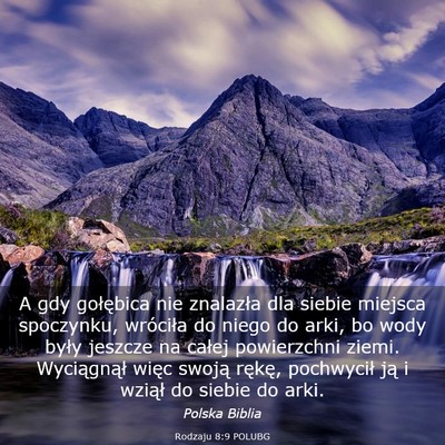 Picture 03 - Rodzaju 8:9 POLUBG - A gdy gołębica nie znalazła dla siebie miejsca - Bible Verse Picture