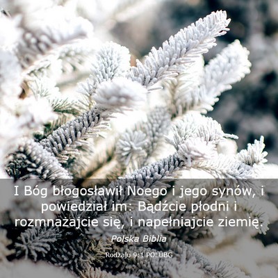 Picture 03 - Rodzaju 9:1 POLUBG - I Bóg błogosławił Noego i jego synów, i - Bible Verse Picture