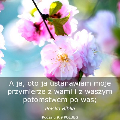 Picture 03 - Rodzaju 9:9 POLUBG - A ja, oto ja ustanawiam moje przymierze z wami i - Bible Verse Picture