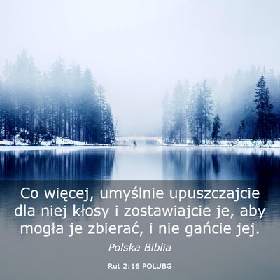 Picture 03 - Rut 2:16 POLUBG - Co więcej, umyślnie upuszczajcie dla niej - Bible Verse Picture