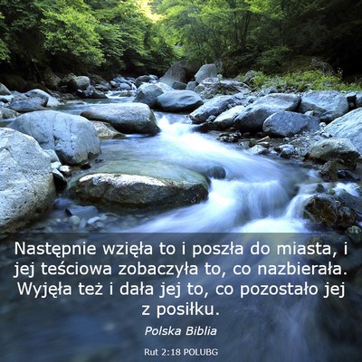 Picture 03 - Rut 2:18 POLUBG - Następnie wzięła to i poszła do miasta, i jej - Bible Verse Picture