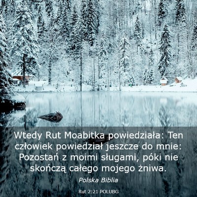 Picture 03 - Rut 2:21 POLUBG - Wtedy Rut Moabitka powiedziała: Ten człowiek - Bible Verse Picture