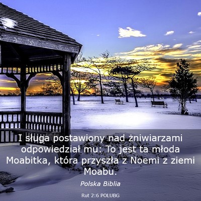 Picture 03 - Rut 2:6 POLUBG - I sługa postawiony nad żniwiarzami - Bible Verse Picture