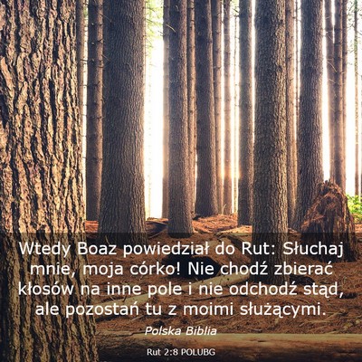 Picture 03 - Rut 2:8 POLUBG - Wtedy Boaz powiedział do Rut: Słuchaj mnie, - Bible Verse Picture