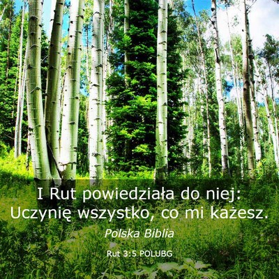 Picture 03 - Rut 3:5 POLUBG - I Rut powiedziała do niej: Uczynię wszystko, co - Bible Verse Picture