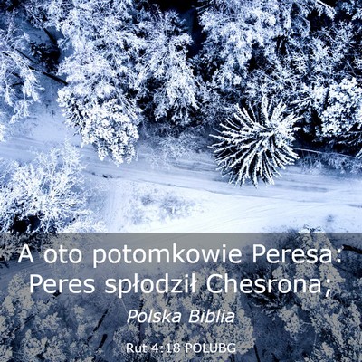 Picture 03 - Rut 4:18 POLUBG - A oto potomkowie Peresa: Peres spłodził - Bible Verse Picture