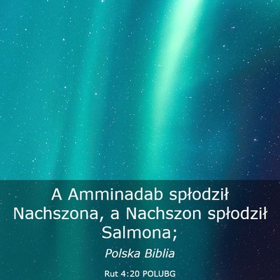 Picture 03 - Rut 4:20 POLUBG - A Amminadab spłodził Nachszona, a Nachszon - Bible Verse Picture