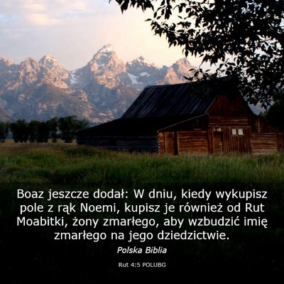 Picture 03 - Rut 4:5 POLUBG - Boaz jeszcze dodał: W dniu, kiedy wykupisz pole - Bible Verse Picture