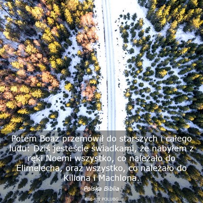 Picture 03 - Rut 4:9 POLUBG - Potem Boaz przemówił do starszych i całego - Bible Verse Picture